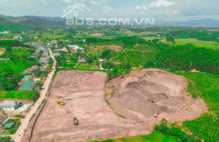 Bán lô đất 8000m2 xã Đài Xuyên ,Vân Đồn ,Quảng Ninh có sổ đỏ